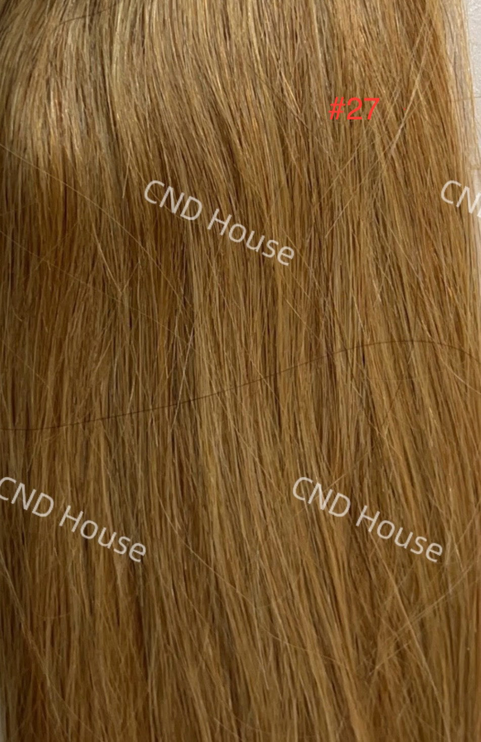Honey Blonde #27 Tape-In Hair Extensions – 100% Remy Human Hair | 50g Pack | 10''–30'' | Reusable | Ships from Canada