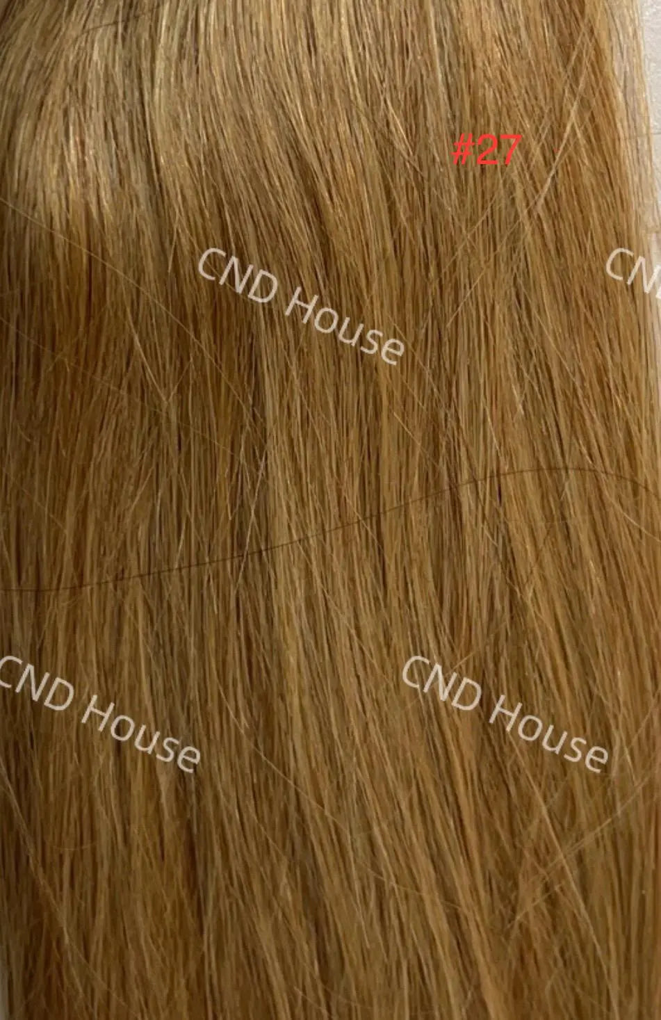 Honey Blonde #27 Straight U Tip Fusion Hair Extensions – 100% Remy Human Hair | 100g Pack | 10''–30'' | Reusable | Ships from Canada